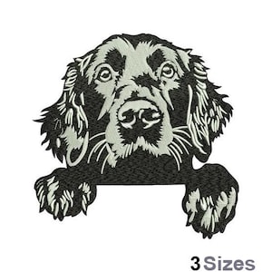 Golden Retriever - Machine Embroidery Design - 3 Sizes