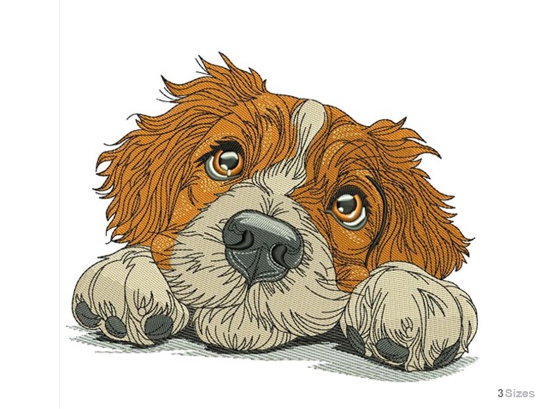 Nova Scotia Duck Toiler Dog - Machine Embroidery Design - 3 Sizes ...