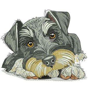 Op de afbeelding: Geborduurd beeld van een Schnauzer-hond met een grijszwarte vacht, gele ogen en een beige snuit. De hond ligt, met zijn kop en poten op een oppervlak. De gedetailleerde afbeelding is waarschijnlijk een ontwerp voor borduurwerk of een soortgelijk ambacht.
