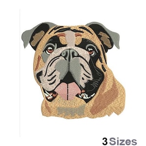 English Bulldog - Machine Embroidery Design - 3 Sizes