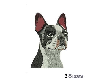 Boston Terrier - Machine Embroidery Design - 3 Sizes