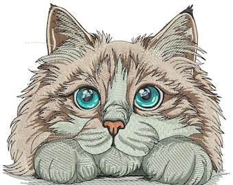 Gato Ragdoll esponjoso - Diseño de bordado a máquina - 3 tamaños, Lindo bordado de gato, Diseño de gato de pelo largo