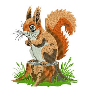 Squirrel - Machine Embroidery Design - 3 Sizes