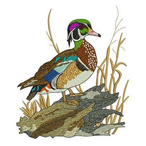 Wood Duck - Machine Embroidery Design - 3 Sizes