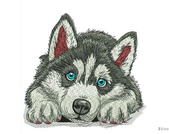 Siberian Husky   - Machine Embroidery Design - 3 Sizes, Husky Puppy design