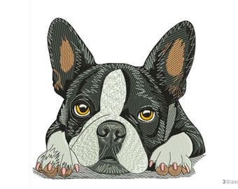 Boston Terrier Dog - Machine Embroidery Design - 3 Sizes, Boston dog design
