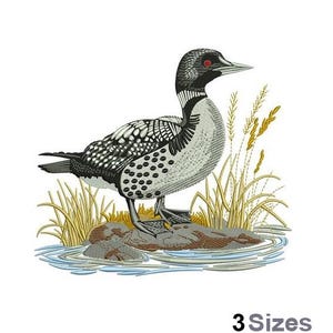 Puede incluir: Un loón blanco y negro con ojos rojos de pie sobre una roca en un lago con juncos amarillos. El loón está mirando hacia la derecha y tiene un cuello largo y un pico puntiagudo.