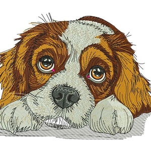 May include: An embroidered image of a Cavalier King Charles Spaniel dog. The dog has brown and white fur, large brown eyes, and a black nose. The dog's paws are visible, and the image is on a white background.