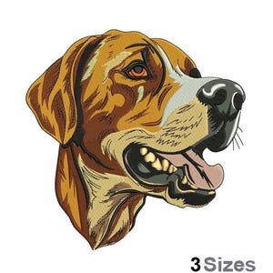 Puede incluir: Un perro marrón y blanco con un hocico largo y orejas caídas. El perro está mirando hacia la derecha y tiene la boca abierta, mostrando sus dientes. El pelaje del perro es una mezcla de marrón y blanco, y sus ojos son marrones.