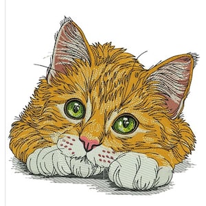 Puede incluir: Imagen bordada de la cara de un gato naranja con ojos verdes y nariz rosa. Se ven las patas del gato y el diseño está detallado con varios tonos de naranja y blanco. La imagen es un primer plano de la cara del gato.