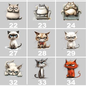 Grumpy Cat Shirt: Moody Kitten Tee, Cat Lover Gift image 8