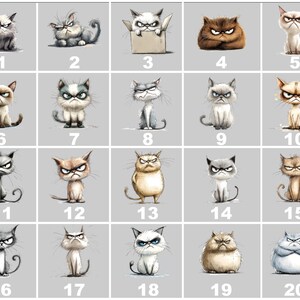 Grumpy Cat Shirt: Moody Kitten Tee, Cat Lover Gift image 7