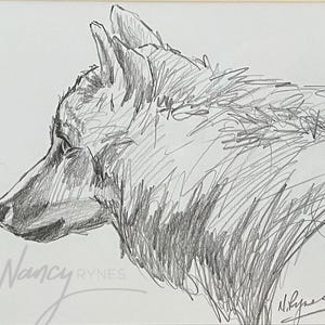 May include: A black and white pencil drawing of a wolf's head, looking to the left. The drawing is done in a loose, expressive style, with many short, scribbled lines. The wolf's fur is depicted with a lot of detail. The artist's signature, "Nancy Rynes", is visible in the lower left corner of the drawing.