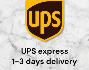 EXPÉDITION RAPIDE - Améliorez votre expédition pour une livraison rapide - UPS Express