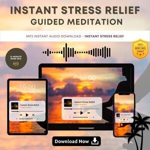 May include: A digital illustration of a laptop, tablet, and smartphone displaying a guided meditation audio file. The audio file is titled "Instant Stress Relief Guided Meditation". The background image is a sunset over the ocean. The text "Download Now" is displayed below the devices.