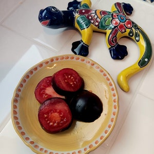 Puede incluir: Una figurita de lagarto de cer&aacute;mica amarilla, azul y roja sobre una superficie de azulejos blancos. Un peque&ntilde;o cuenco amarillo con un borde rojo y blanco contiene cuatro rodajas de tomates rojos y morados.