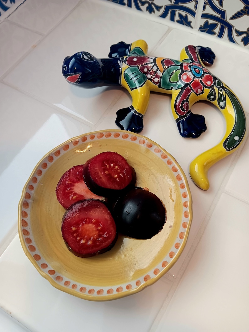 Puede incluir: Una figurita de lagarto de cer&aacute;mica amarilla, azul y roja sobre una superficie de azulejos blancos. Un peque&ntilde;o cuenco amarillo con un borde rojo y blanco contiene cuatro rodajas de tomates rojos y morados.