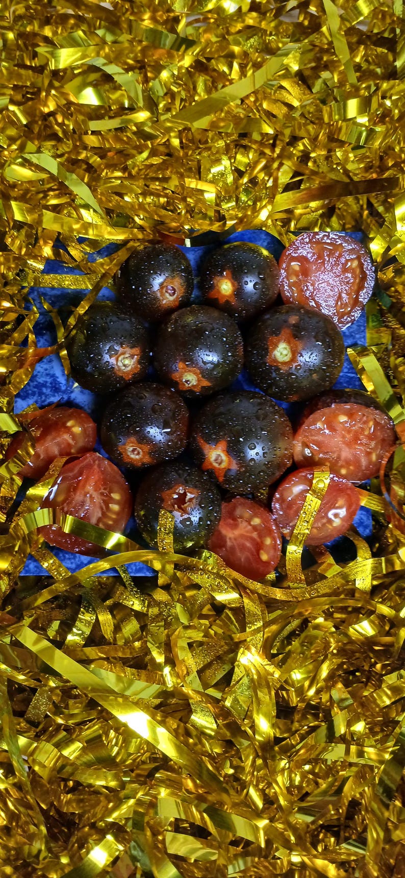 Semillas de tomate cherry azul tradicional, variedad de tomate cherry grande (35 unidades). Instrucciones incluidas. imagen 6