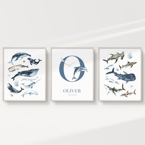 Arte mural imprimible personalizado de vida marina, juego de 3, ballenas, tiburones, animales del océano, guardería infantil, BSLL23 / DESCARGA DIGITAL