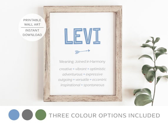 LEVI Name Meaning Printable Wall Art Character Traits - Etsy