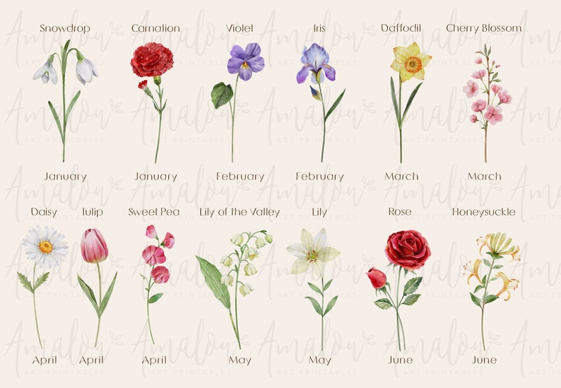 Personalised Watercolour Birth Month Flower Printable Wall Art Grandma's Garden, Family Garden, Mother's Day Gift Digital Download image 9