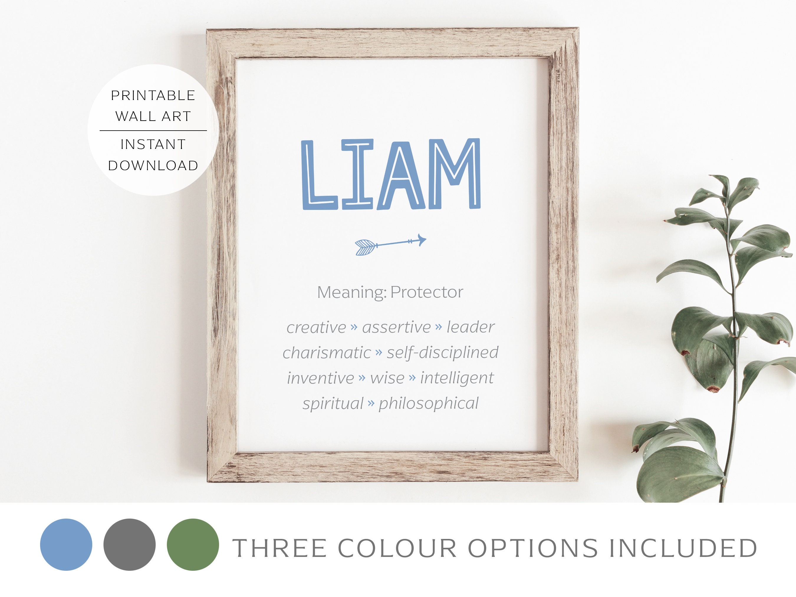 Liam Name Meaning Print Name Print Wall Art Minimalist -  Portugal