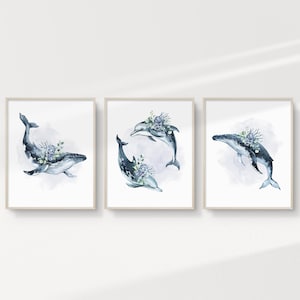 May include: Three watercolor paintings of whales and dolphins with floral accents. The whales and dolphins are blue and gray, and the flowers are white and blue. The paintings are framed in white.