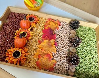 Fall Sensory Bin: Thanksgiving Montessori Kit with Natural Fillers