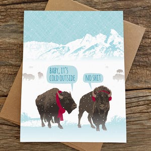 funny christmas cards / baby it's cold / bison / boxed set of 8