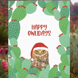 Cartes de vœux hibou / cactus de la chouette / lot de 8 en boîte