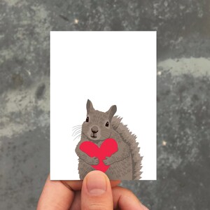 May include: A gray squirrel holding a red heart in its paws. The squirrel is looking at the viewer.