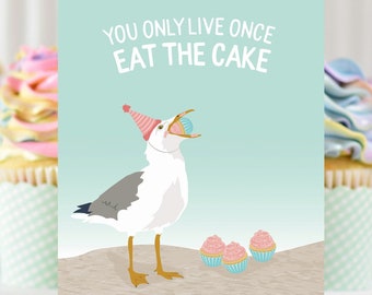 funny birthday card / eat the cake / seagull