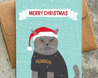funny holiday cards / humbug cat / boxed set of 8