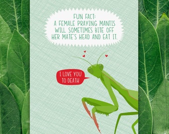 praying mantis funny valentine card / anniversary
