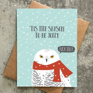 funny holiday cards / angry owl / be jolly / boxed set of 8