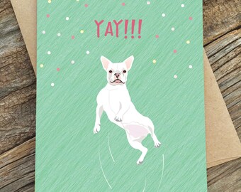 congrats card / yay / french bulldog