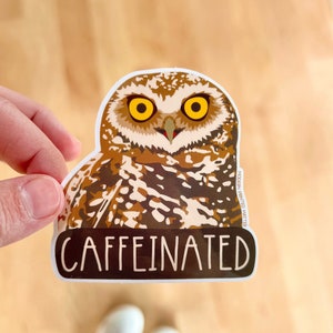 cafeïnehoudende sticker