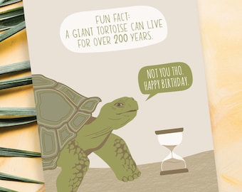 funny dark birthday card / tortoise fact