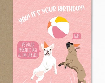 funny birthday card / act our age / french bulldogs