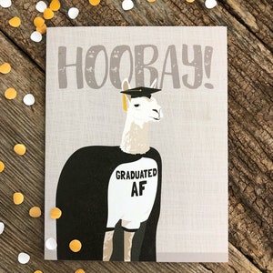 grappige afstudeerkaart / afgestudeerd af / lama