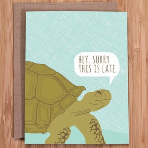 belated birthday card / tortoise