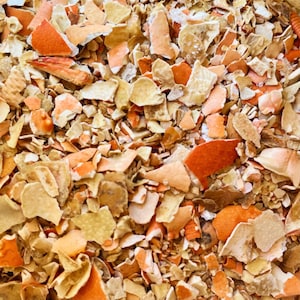 Lobster & Crab Shell | Hermit Crab Food