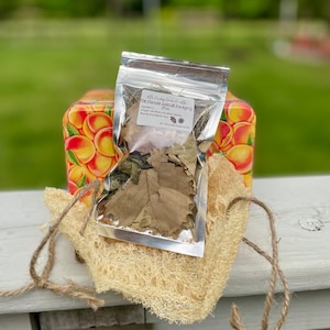 Hermit crab hammock hot sale