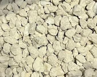 Oyster Shells for Hermit Crabs, Hermit Crab Calcium,Food For Hermit Crabs, Calcium for Hermit Crabs, Natural Calcium Source for Hermit Crabs