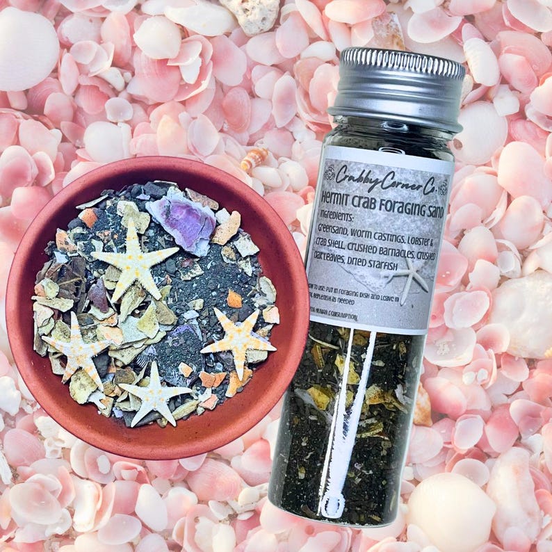 May include: A small terracotta bowl filled with dark foraging sand, crushed shells, and four small white starfish, alongside a clear glass vial with a silver lid containing the same mixture, labeled Crabby Corner Co. Hermit Crab Foraging Sand.