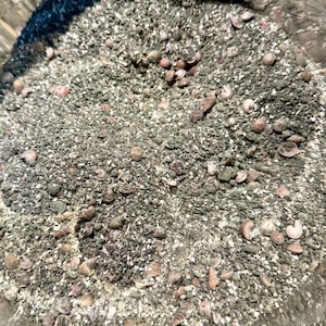 May include: A collection of small, dark gray sand particles mixed with numerous tiny, light-colored seashells of various shapes and sizes, contained within a clear glass vessel, creating a textured, granular surface with natural debris.
