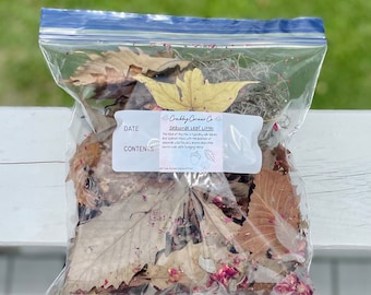 Leaf Litter for Hermit Crabs, Reptiles and Isopods, Hermit Crab and Isopod Foraging, Reptile Foraging, Reptile Bedding, Dried Natural Leaves