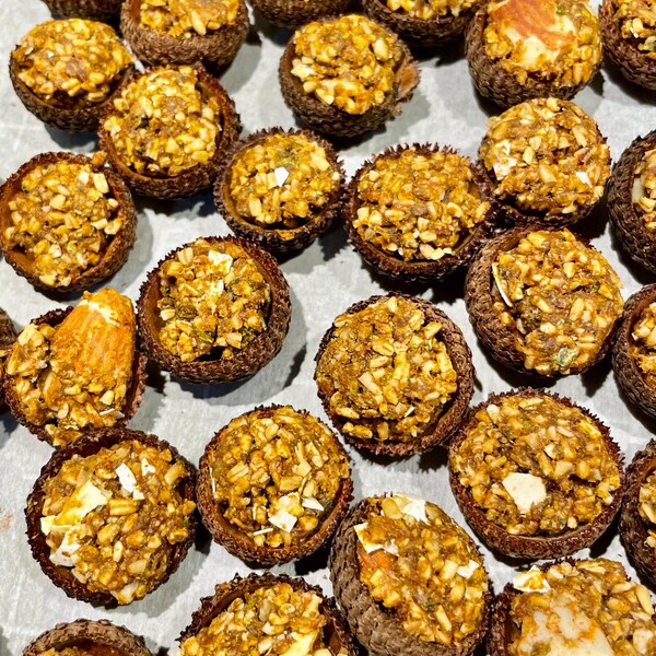 Rabbit & Bell Pepper Acorn Bites | Hermit Crab Food