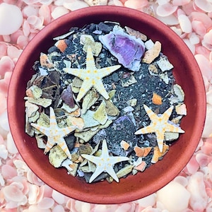 Hermit Crab Foraging Sand | Mineral Rich, Natural Ingredients