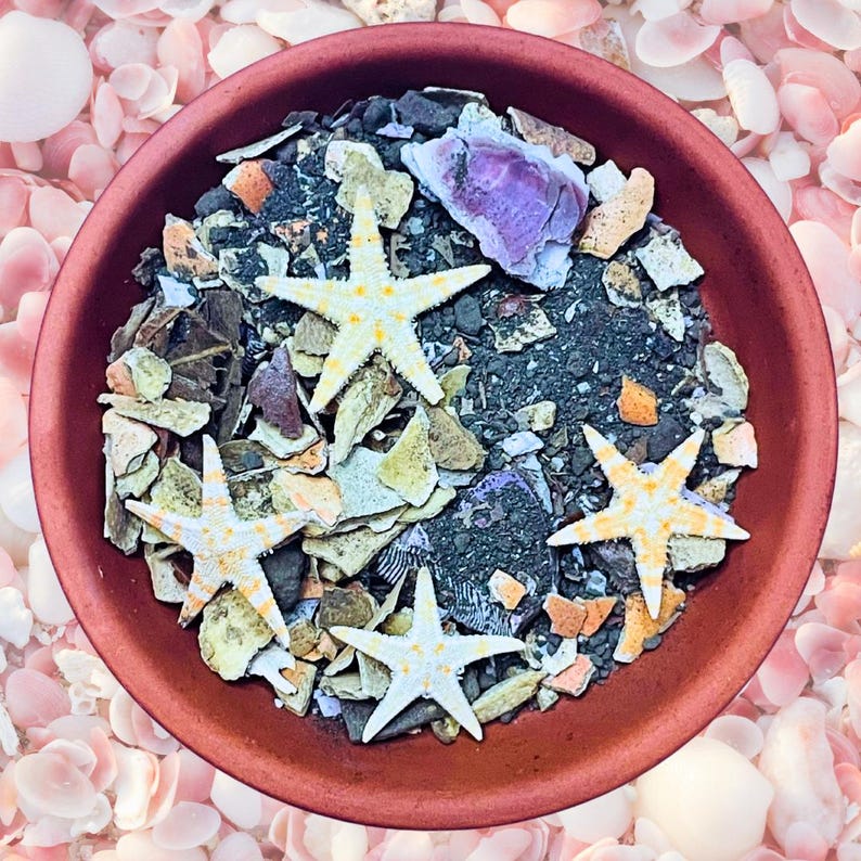 May include: A round terracotta-colored bowl filled with a mixture of dark gray sand, small broken shell fragments, and four light-colored starfish with yellow spots. The bowl is positioned against a background of scattered light pink seashells.